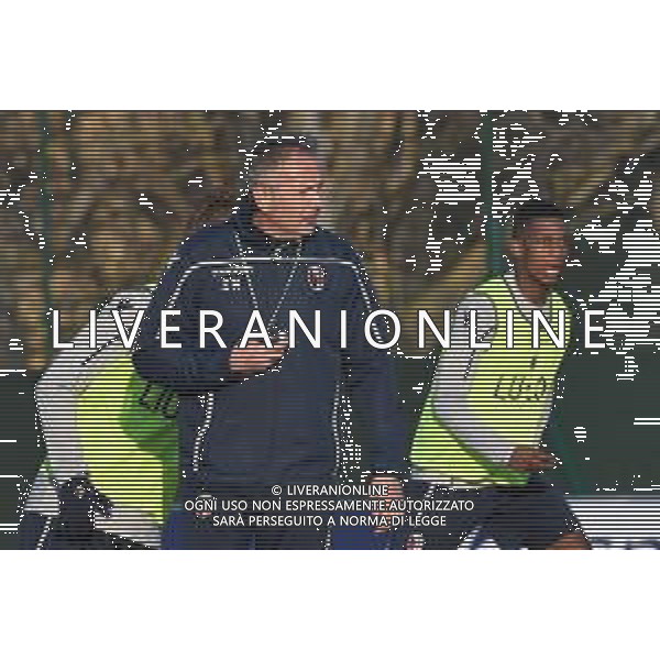 29-01-2019 bologna allenamento nuovo allenatore del bologna Sinisa Mihajlovic nella foto sinisa mihajlovic foto optima-ag aldo liverani sas