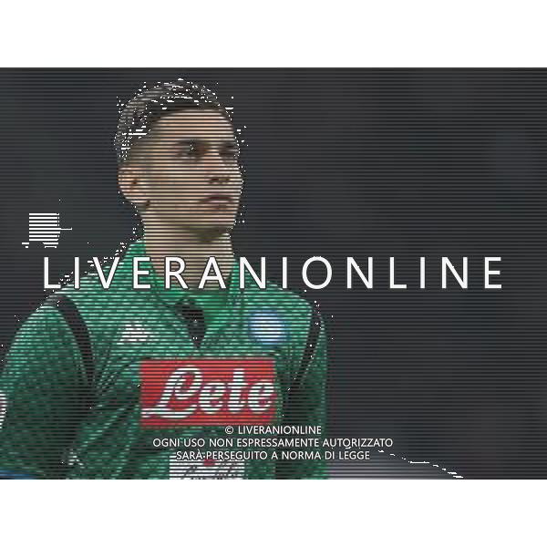 Coppa Italia TIM Cup 2018/2019 Quarti di Finale Milano - 29.01.2019 Milan-Napoli Nella Foto:Alex Meret /Ph.Vitez-Ag. Aldo Liverani