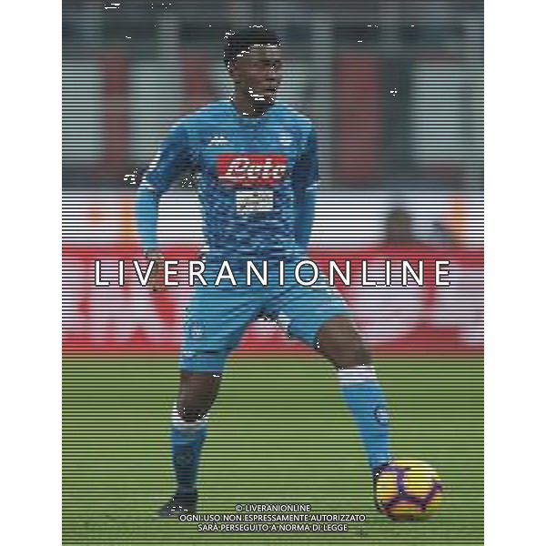 Coppa Italia TIM Cup 2018/2019 Quarti di Finale Milano - 29.01.2019 Milan-Napoli Nella Foto:Amadou Diawara /Ph.Vitez-Ag. Aldo Liverani