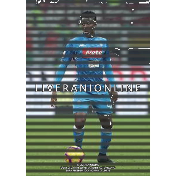 Coppa Italia TIM Cup 2018/2019 Quarti di Finale Milano - 29.01.2019 Milan-Napoli Nella Foto:Amadou Diawara /Ph.Vitez-Ag. Aldo Liverani