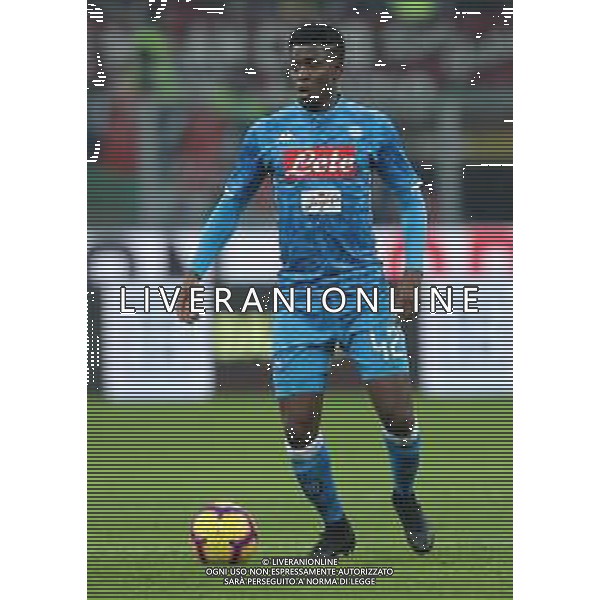 Coppa Italia TIM Cup 2018/2019 Quarti di Finale Milano - 29.01.2019 Milan-Napoli Nella Foto:Amadou Diawara /Ph.Vitez-Ag. Aldo Liverani