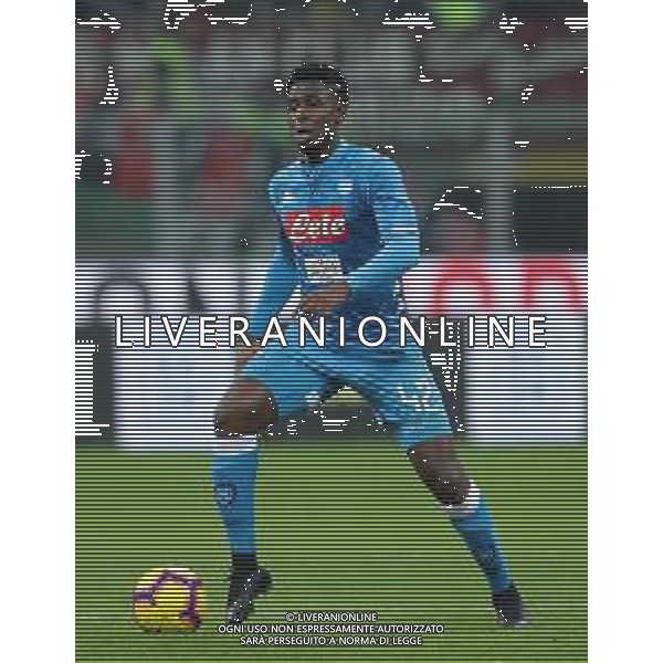 Coppa Italia TIM Cup 2018/2019 Quarti di Finale Milano - 29.01.2019 Milan-Napoli Nella Foto:Amadou Diawara /Ph.Vitez-Ag. Aldo Liverani