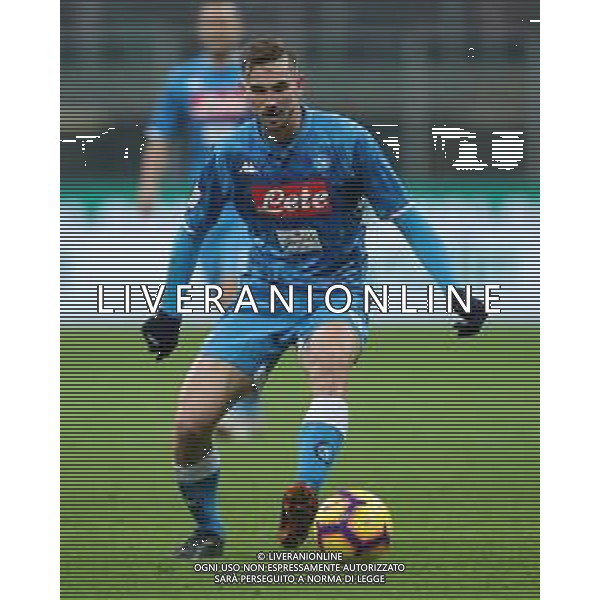 Coppa Italia TIM Cup 2018/2019 Quarti di Finale Milano - 29.01.2019 Milan-Napoli Nella Foto:Fabian Ruiz /Ph.Vitez-Ag. Aldo Liverani