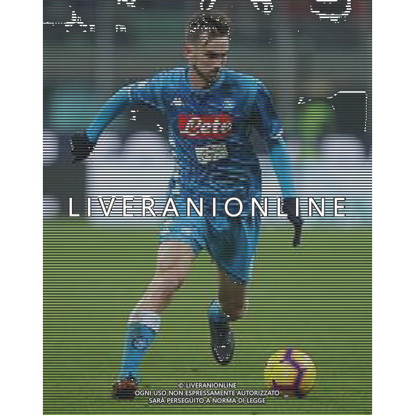 Coppa Italia TIM Cup 2018/2019 Quarti di Finale Milano - 29.01.2019 Milan-Napoli Nella Foto:Fabian Ruiz /Ph.Vitez-Ag. Aldo Liverani
