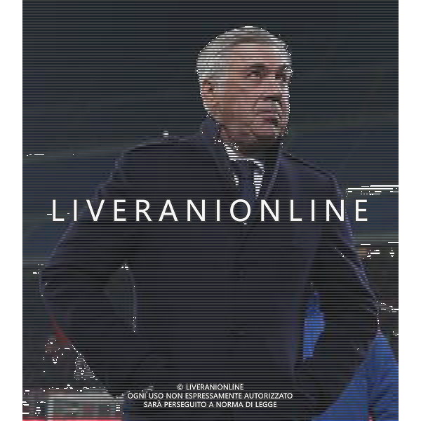 Coppa Italia TIM Cup 2018/2019 Quarti di Finale Milano - 29.01.2019 Milan-Napoli Nella Foto:Carlo Ancelotti /Ph.Vitez-Ag. Aldo Liverani