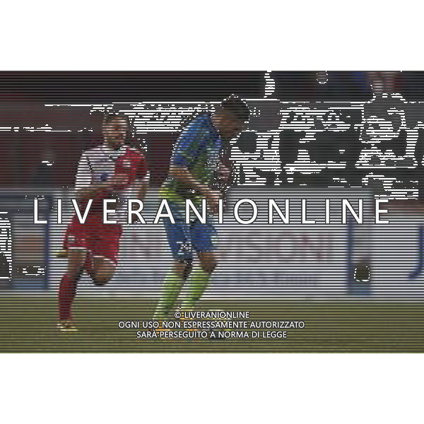 Santarcangelo - Feralpisalo\' Campionato di calcio serie C girone B 12/02/2019 nella foto: goal Marchi Mattia (Feralpisalo’) ©Claudio Zamagni/Agenzia Aldo Liverani
