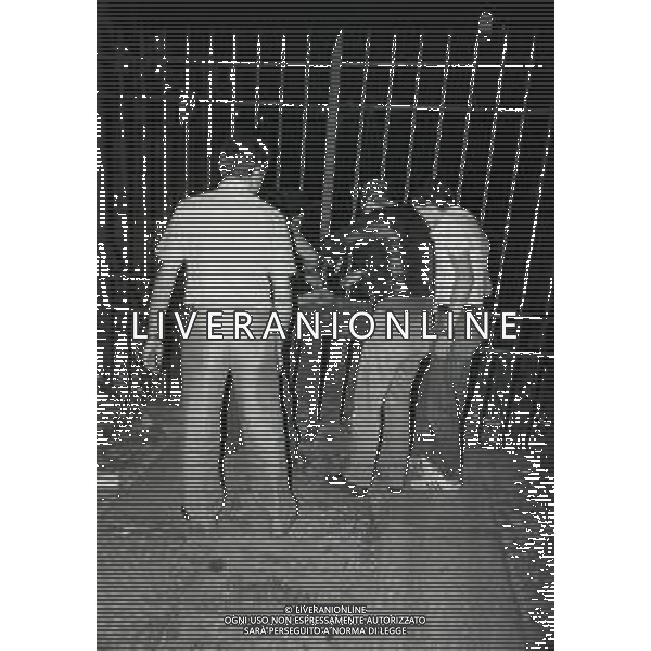 08-07-1981 MILANO-CASTELLO SFORZESCO CONCERTO DI RENATO ZERO ALCUNI FAN CADONO DALLA BALAUSTRA MUORE UNA RAGAZZA TIZIANA CANESI E MOLTI FERITI NELLA FOTO I SOCCORSI PER I FERITI AG ALDO LIVERANI SAS