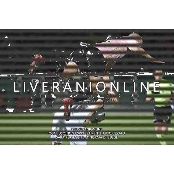 , Palermo - Brescia partita di serie B, Palermo 15 febbraio 2019. Ph Fotolive Federica Roselli / AGENZIA ALDO LIVERANI SAS - PALERMO - BRESCIA Campionato Calcio Serie B, Palermo 15.02.2019