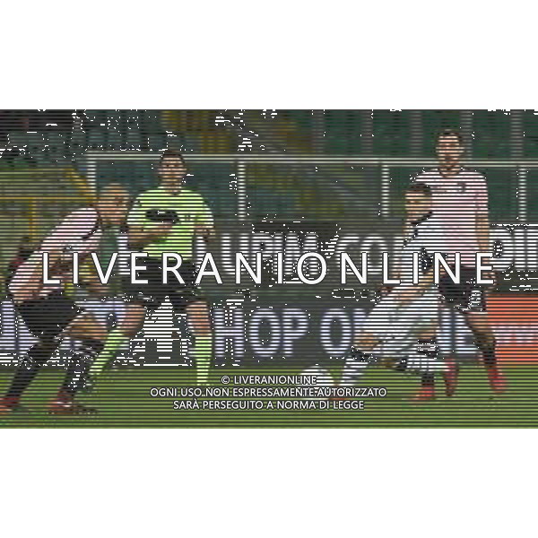 Nikolas Spalek , Palermo - Brescia partita di serie B, Palermo 15 febbraio 2019. Ph Fotolive Federica Roselli / AGENZIA ALDO LIVERANI SAS - PALERMO - BRESCIA Campionato Calcio Serie B, Palermo 15.02.2019