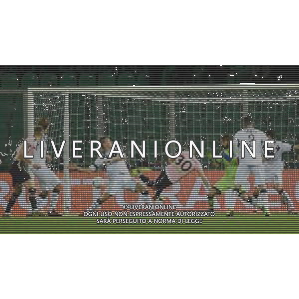 gol 1-0 di Ilija Nestorovski, Palermo - Brescia partita di serie B, Palermo 15 febbraio 2019. Ph Fotolive Federica Roselli / AGENZIA ALDO LIVERANI SAS - PALERMO - BRESCIA Campionato Calcio Serie B, Palermo 15.02.2019