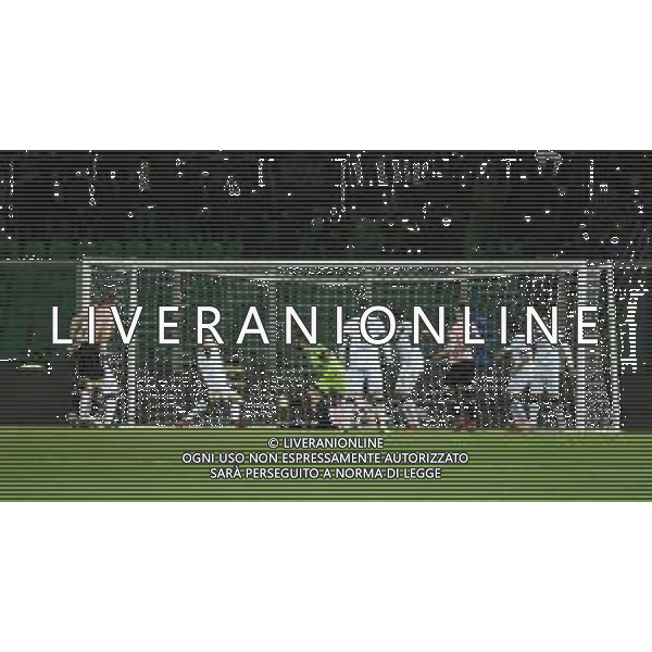 gol 1-0 di Ilija Nestorovski, Palermo - Brescia partita di serie B, Palermo 15 febbraio 2019. Ph Fotolive Federica Roselli / AGENZIA ALDO LIVERANI SAS - PALERMO - BRESCIA Campionato Calcio Serie B, Palermo 15.02.2019