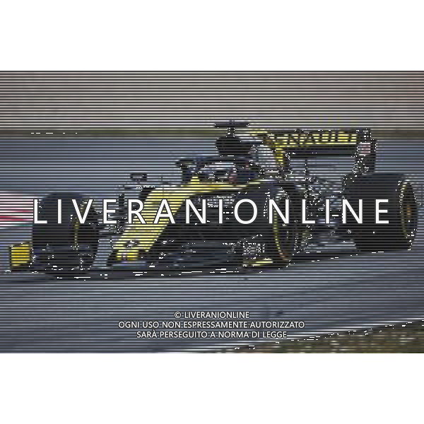 Daniel Ricciardo (AUS) Renault Sport F1 Team RS19. 19.02.2019. Formula One Testing, Day Two, Barcelona, Spain. Tuesday. AG ALDO LIVERANI SAS-ONLY ITALY