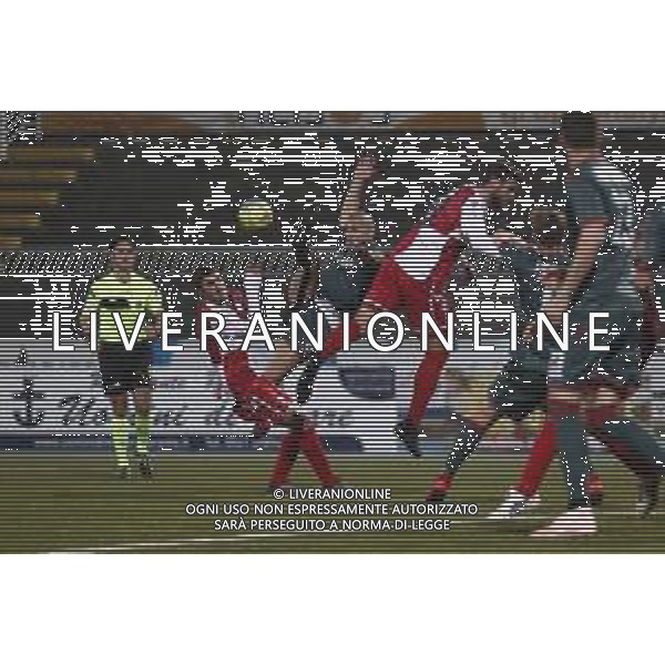 Rimini - Ternana Campionato di Calcio Serie C 19/02/2019 nella foto: Marilungo Guido (Ternana Calcio) ©Claudio Zamagni/Agenzia Aldo Liverani