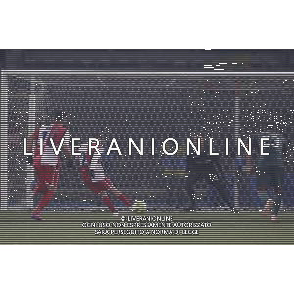 Rimini - Ternana Campionato di Calcio Serie C 19/02/2019 nella foto: goal Candido Roberto (Rimini fc) ©Claudio Zamagni/Agenzia Aldo Liverani