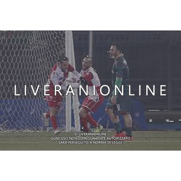 Rimini - Ternana Campionato di Calcio Serie C 19/02/2019 nella foto: Esultanza rimini ©Claudio Zamagni/Agenzia Aldo Liverani
