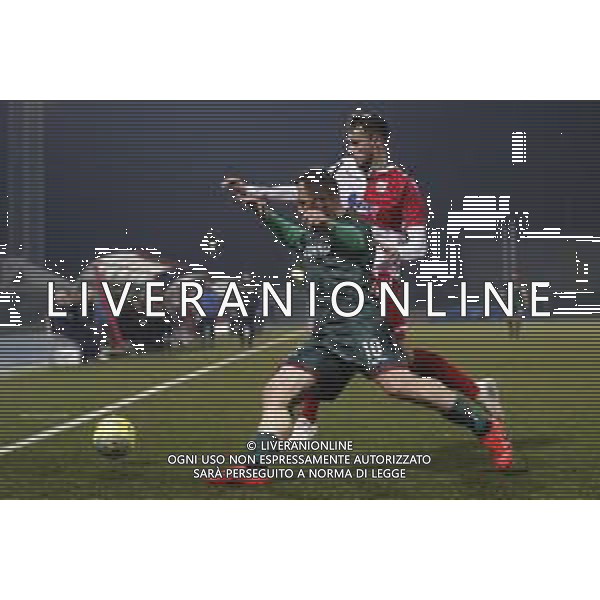 Rimini - Ternana Campionato di Calcio Serie C 19/02/2019 nella foto: Furlan Federico (Ternana Calcio) Petti Alessio (Rimini fc) ©Claudio Zamagni/Agenzia Aldo Liverani