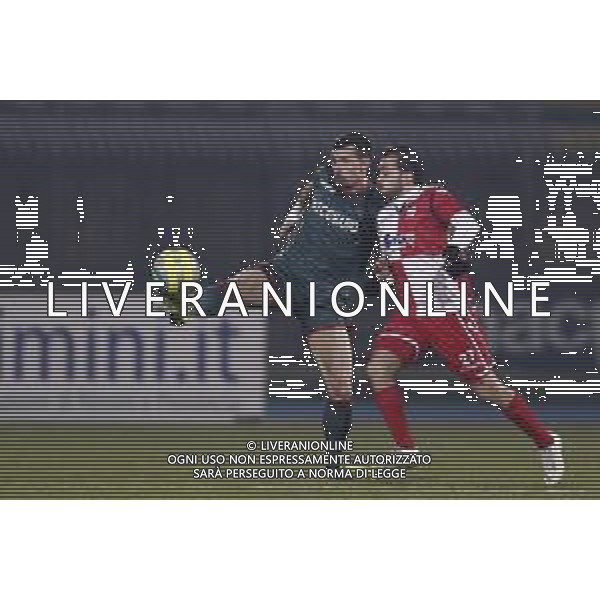 Rimini - Ternana Campionato di Calcio Serie C 19/02/2019 nella foto: Furlan Federico (Ternana Calcio) Candido Roberto (Rimini fc) ©Claudio Zamagni/Agenzia Aldo Liverani