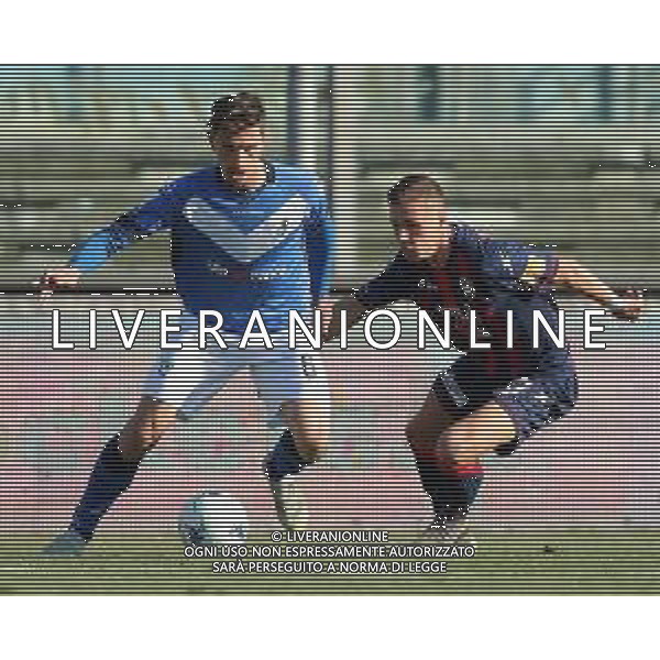 Campionato di Calcio Serie B BKT 2018/2019 25a Giornata Brescia - 23.02.2019 Brescia-Crotone Nella Foto: Emanuele Ndoj e Samuel Mraz /Ph.Vitez-Ag. Aldo Liverani