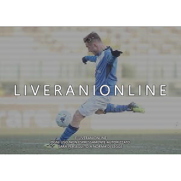 Campionato di Calcio Serie B BKT 2018/2019 25a Giornata Brescia - 23.02.2019 Brescia-Crotone Nella Foto: il gol di Alfredo Donnarumma /Ph.Vitez-Ag. Aldo Liverani