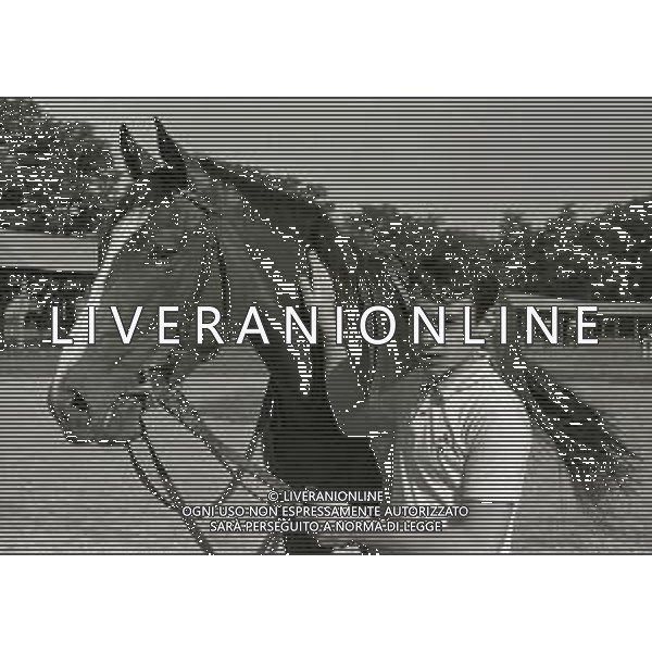 1969 RETROSPETTIVA EDOARDO CAMICI IPPICA AG ALDO LIVERANI SAS