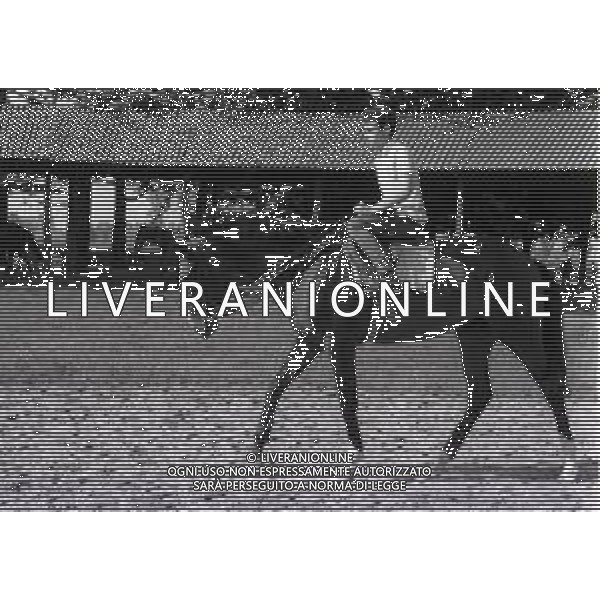 1969 RETROSPETTIVA EDOARDO CAMICI IPPICA AG ALDO LIVERANI SAS