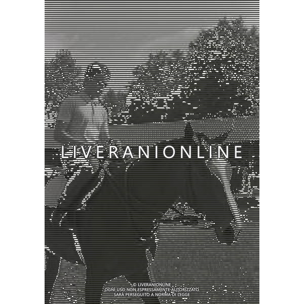 1969 RETROSPETTIVA EDOARDO CAMICI IPPICA AG ALDO LIVERANI SAS