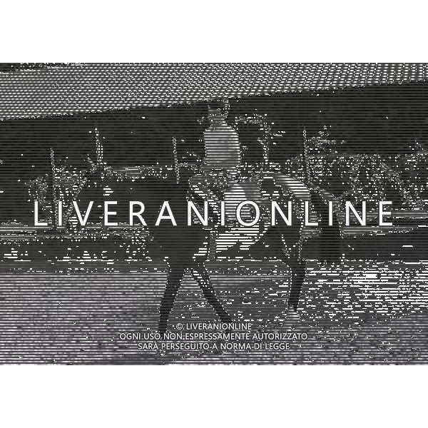 1969 RETROSPETTIVA EDOARDO CAMICI IPPICA AG ALDO LIVERANI SAS