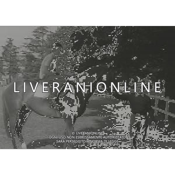 1969 RETROSPETTIVA EDOARDO CAMICI IPPICA AG ALDO LIVERANI SAS