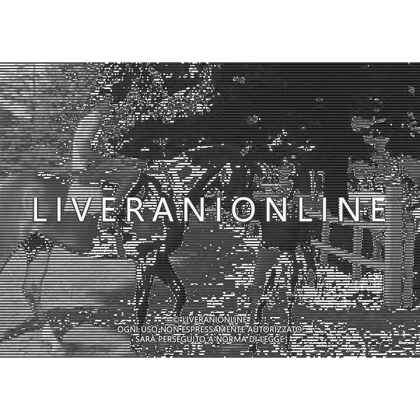 1969 RETROSPETTIVA EDOARDO CAMICI IPPICA AG ALDO LIVERANI SAS