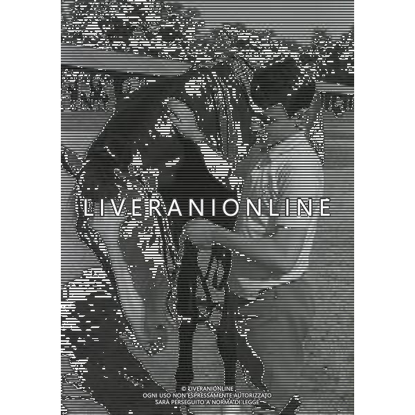 1969 RETROSPETTIVA EDOARDO CAMICI IPPICA AG ALDO LIVERANI SAS