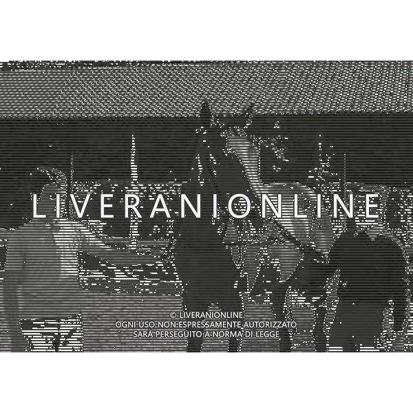 1969 RETROSPETTIVA EDOARDO CAMICI IPPICA AG ALDO LIVERANI SAS