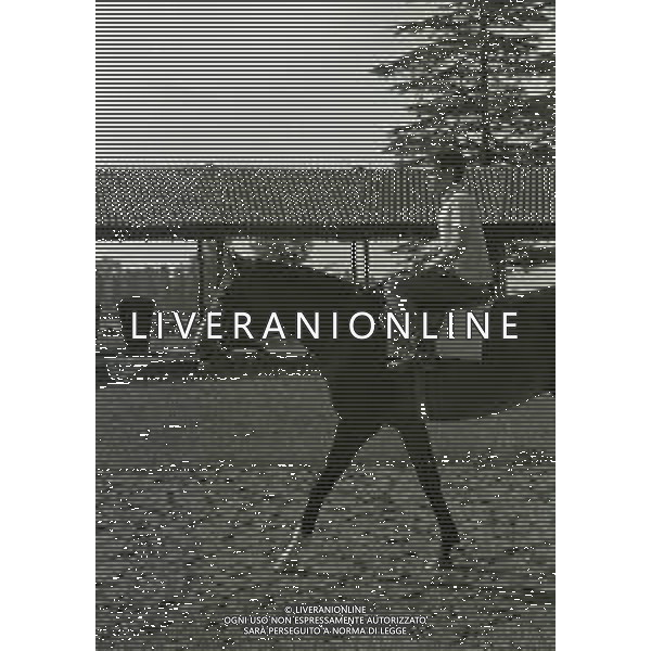 1969 RETROSPETTIVA EDOARDO CAMICI IPPICA AG ALDO LIVERANI SAS