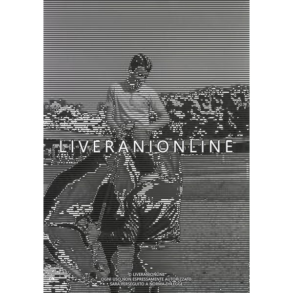 1969 RETROSPETTIVA EDOARDO CAMICI IPPICA AG ALDO LIVERANI SAS