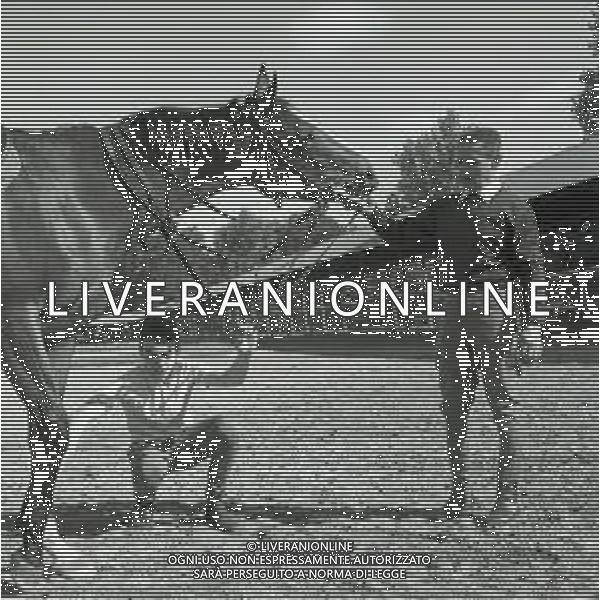 1969 RETROSPETTIVA EDOARDO CAMICI IPPICA AG ALDO LIVERANI SAS