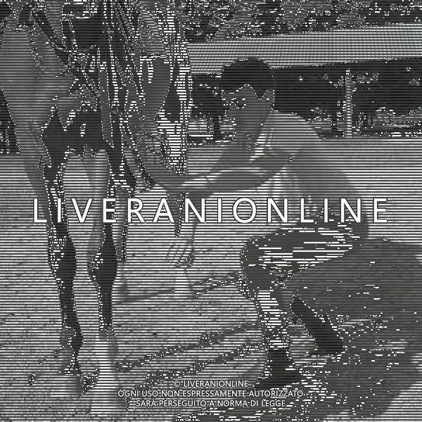 1969 RETROSPETTIVA EDOARDO CAMICI IPPICA AG ALDO LIVERANI SAS