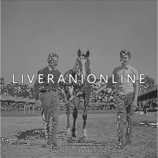 1969 RETROSPETTIVA EDOARDO CAMICI IPPICA AG ALDO LIVERANI SAS