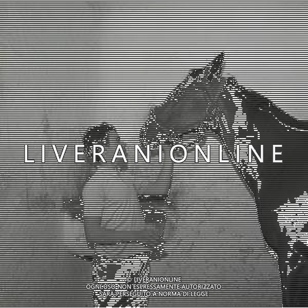 1969 RETROSPETTIVA EDOARDO CAMICI IPPICA AG ALDO LIVERANI SAS