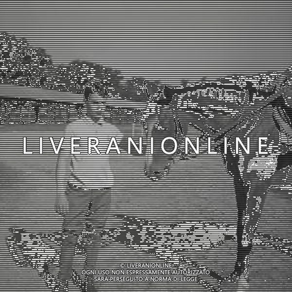 1969 RETROSPETTIVA EDOARDO CAMICI IPPICA AG ALDO LIVERANI SAS