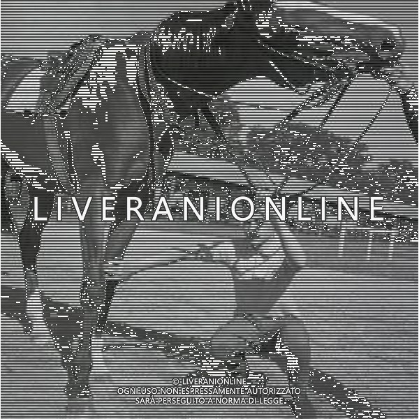 1969 RETROSPETTIVA EDOARDO CAMICI IPPICA AG ALDO LIVERANI SAS