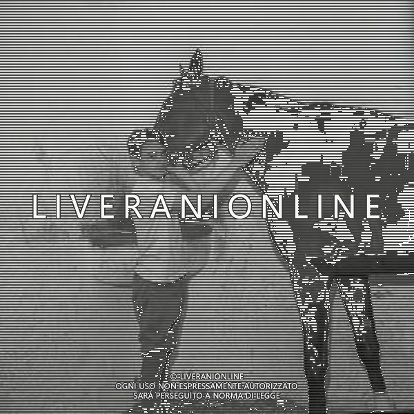 1969 RETROSPETTIVA EDOARDO CAMICI IPPICA AG ALDO LIVERANI SAS