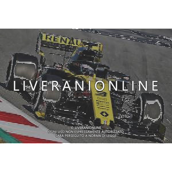 Daniel Ricciardo (AUS) Renault Sport F1 Team RS19. 27.02.2019. Formula One Testing, Day Two, Barcelona, Spain. Wednesday. AG ALDO LIVERANI SAS-ONLY ITALY