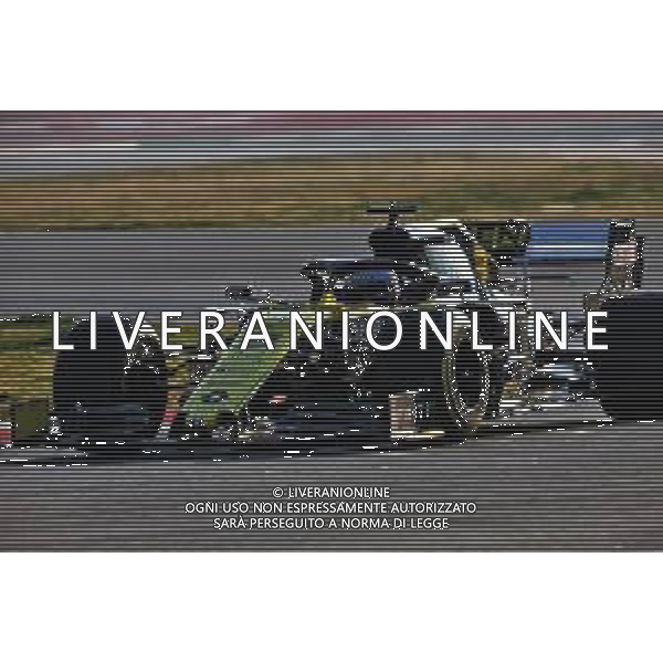 Daniel Ricciardo (AUS) Renault Sport F1 Team RS19. 01.03.2019. Formula One Testing, Day Four, Barcelona, Spain. Friday. AG ALDO LIVERANI SAS-ONLY ITALY