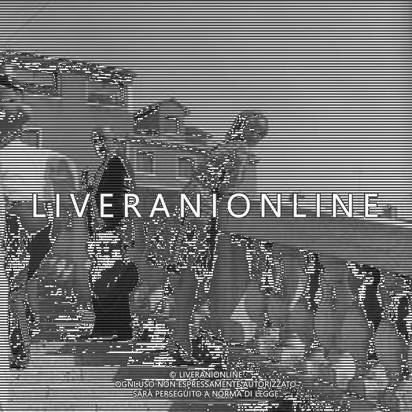 GONDOLA D\'ORO, Mostra internazionale di musica leggera, Lido di Venezia 1967 - RETROSPETTIVA Nella foto IVA ZANICCHI ©ARCHIVIO / AGENZIA ALDO LIVERANI SAS