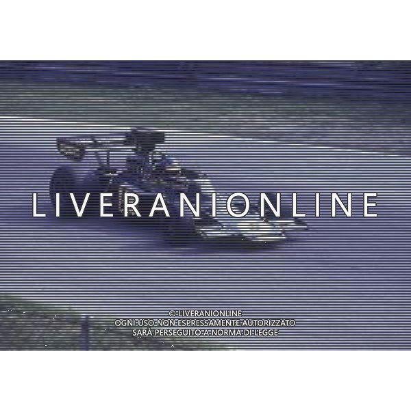 RETROSPETTIVA RONNIE PETERSON PILOTA F1 NELLA FOTO RONNIE PETERSON AG ALDO LIVERANI SAS