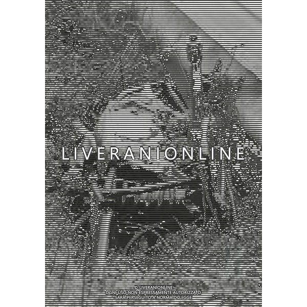 RETROSPETTIVA RONNIE PETERSON PILOTA F1 NELLA FOTO RONNIE PETERSON INCIDENTE MORTALE A MONZA 11-09-1978 AG ALDO LIVERANI SAS