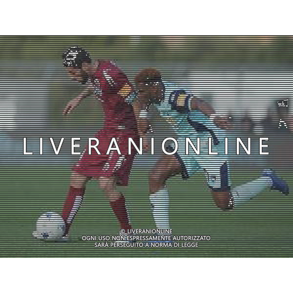Campionato di Calcio Serie B BKT 2018/2019 28a Giornata Cittadella (PD) - 09.03.2019 Cittadella-Pescara Nella Foto: manuel Iori e Andrew Gravillon /Ph.Vitez-Ag. Aldo Liverani