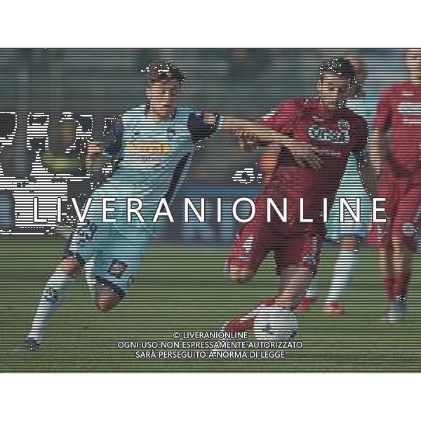 Campionato di Calcio Serie B BKT 2018/2019 28a Giornata Cittadella (PD) - 09.03.2019 Cittadella-Pescara Nella Foto: Ferdinando Del Sole e Manuel Iori /Ph.Vitez-Ag. Aldo Liverani