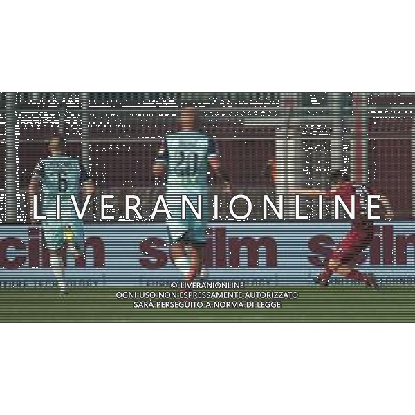 Campionato di Calcio Serie B BKT 2018/2019 28a Giornata Cittadella (PD) - 09.03.2019 Cittadella-Pescara Nella Foto: il gol di Federico Proia /Ph.Vitez-Ag. Aldo Liverani