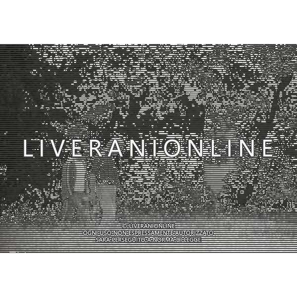 1974 RADUNO ITALIA AI CAMPIONATI DEL MONDO DI CALCIO 74 NELLA FOTO KARL HEINZ SCHNELLINGER E GIANNI RIVERA AG ALDO LIVERANI SAS