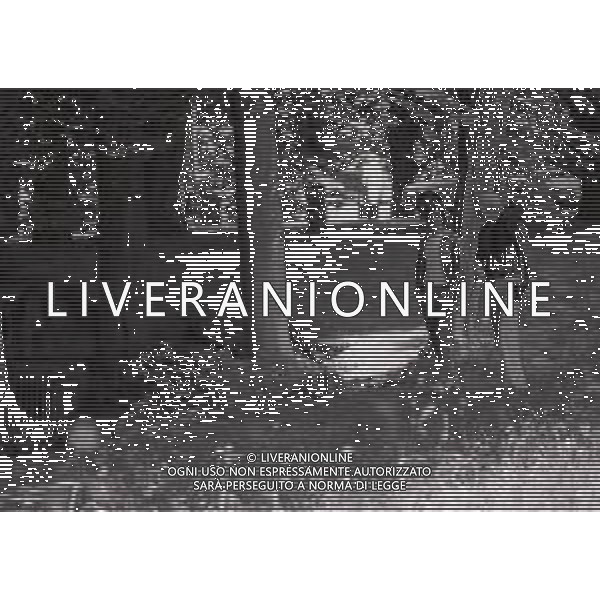 1974 RADUNO ITALIA AI CAMPIONATI DEL MONDO DI CALCIO 74 NELLA FOTO KARL HEINZ SCHNELLINGER E GIANNI RIVERA AG ALDO LIVERANI SAS
